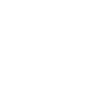 New Project