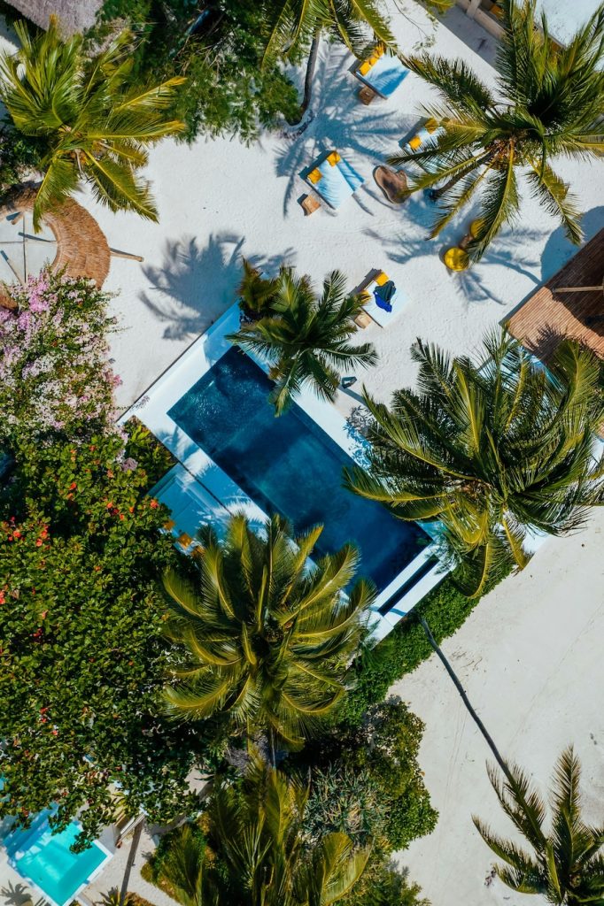 Top‑down view of a rectangular pool with deep blue water, bordered by palm trees, flowering plants, and white architectural elements.